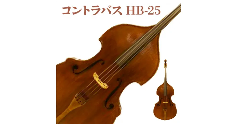 【ふるさと納税】コントラバス HB-25 BM02