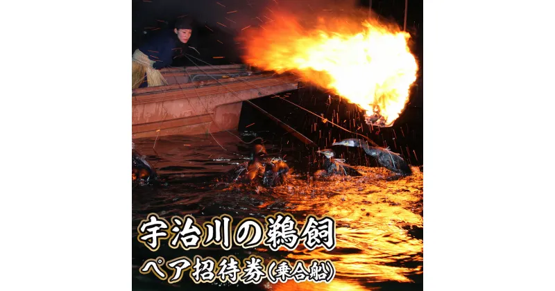 【ふるさと納税】宇治川の鵜飼ペア招待券（乗合船） 送料無料 チケット ペア 観光 京都 宇治 BT08