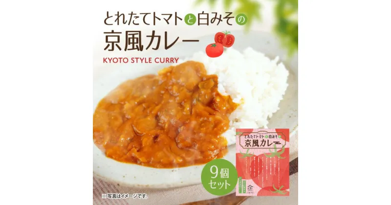 【ふるさと納税】とれたてトマトと白みその京風カレー9個セット 送料無料 レトルトカレー レトルトシチュー グルメ インスタント お取り寄せ トマト グルメ レトルト食品 カレールー 常温 保存食 非常食 保存食 自宅用 食べ比べ AA37