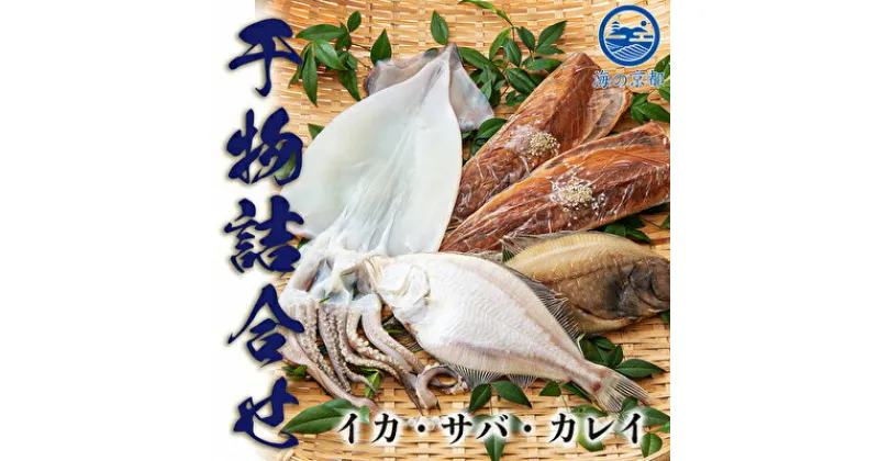 【ふるさと納税】やまいち自慢、干物詰め合わせセット サバ カレイ イカ 一夜干し 桜干し みりん干し 魚 干物 ひもの 詰め合せ セット おつまみ 日本酒 肴　宮津市