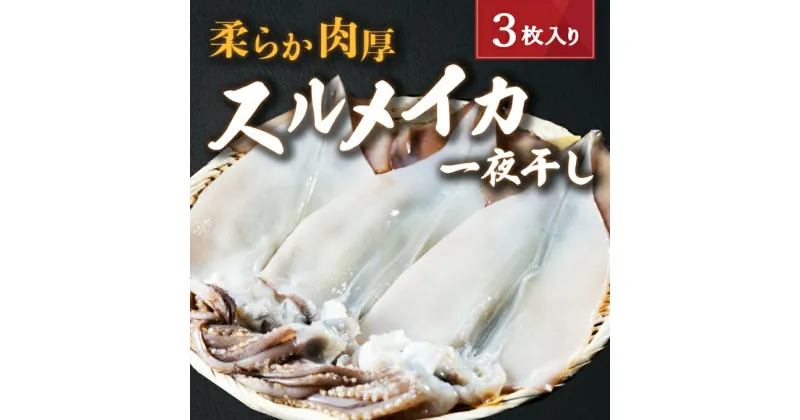 【ふるさと納税】柔らか肉厚のスルメイカ一夜干し 3枚 魚貝類 イカ いか スルメイカ お酒 つまみ 特大 新鮮 保存 冷凍 国産 送料無料 酒の肴 酒のつまみ　魚貝類・イカ