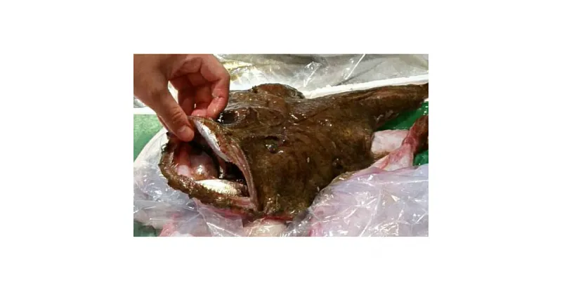 【ふるさと納税】鮮度抜群！魚屋のアンコウ 魚介類 鍋セット 海鮮鍋 切り身 1kg 新鮮 海鮮 ギフト 冬 鍋　魚介類・鍋セット海鮮鍋