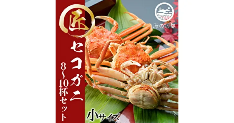 【ふるさと納税】コッペがに　小サイズ 8～10杯セット 蟹 カニ 冷蔵 送料無料 海産物 冬の味覚 天橋立 取り寄せ グルメ ビール グルメ お酒　蟹・カニ　お届け：2024年11月中旬～2024年12月下旬