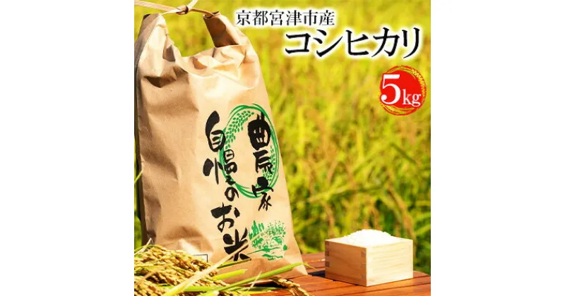 【ふるさと納税】令和6年産 京都宮津市産コシヒカリ 5kg お米 白米 精米 コシヒカリ 5キロ 送料無料 ギフト ごはん ご飯 おにぎり お弁当　お米・コシヒカリ・5kg