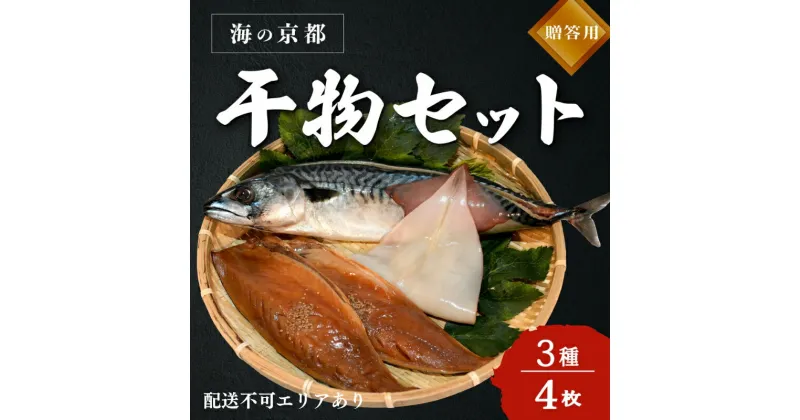 【ふるさと納税】海の京都 橋立やまいち 干物セット 贈答用 B[ 一夜干し 桜干し ギフト ]　 魚貝類 干物 魚貝類 加工食品 鯖 サバ イカ