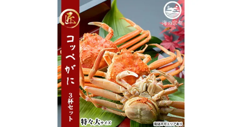 【ふるさと納税】コッペがに 特々大サイズ 3杯セット（冷蔵） ボイル 蟹 松葉ガニ ズワイガニ カニ かに 茹で 子持ち 内子 外子 蟹味噌 京都 海の京都 日本海 国産　宮津市　お届け：2024年11月中旬～2024年12月下旬