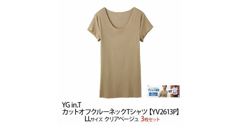 【ふるさと納税】【ふるさと納税】グンゼ YG in.T カットオフクルーネックTシャツ【YV2613P】LLサイズ クリアベージュ3枚セット下着 肌着 GUNZE ファッション　 ファッション 服 男性 メンズ インナー