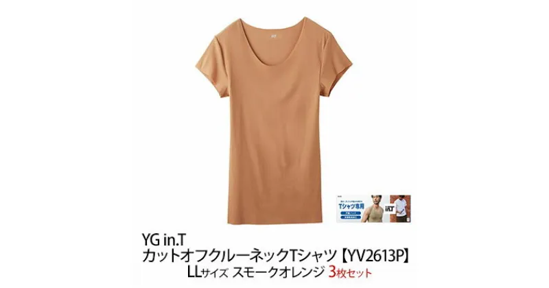 【ふるさと納税】【ふるさと納税】グンゼ YG in.T カットオフクルーネックTシャツ【YV2613P】LLサイズ スモークオレンジ 3枚セット 下着 肌着 GUNZE Tシャツ　 ファッション 服 男性 メンズ インナー