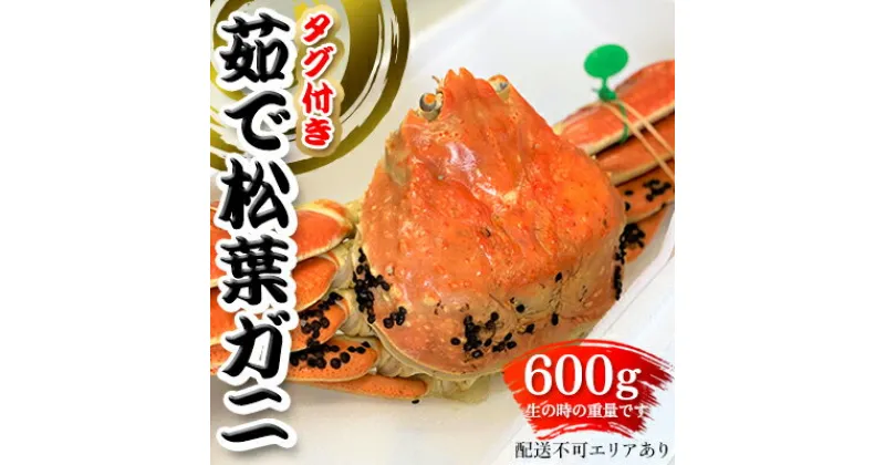 【ふるさと納税】松葉ガニ 茹で タグ付き 600g up《2024年11月中旬?12月中旬、もしくは、2025年1月中旬以降以降順次発送》　 蟹 ブランドガニ 魚介類 　お届け：11月中旬?12月中旬1月中旬?2月中旬