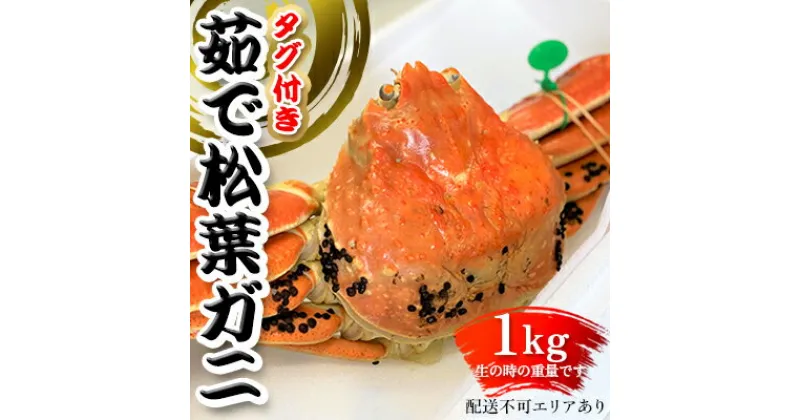 【ふるさと納税】松葉ガニ 茹で タグ付き1kg up《2024年11月中旬?12月中旬、もしくは、2025年1月中旬以降以降順次発送》　 蟹 ブランドガニ 魚介類 　お届け：11月中旬?12月中旬1月中旬?2月中旬