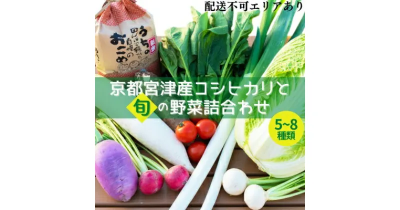 【ふるさと納税】【ふるさと納税】京都 宮津産 コシヒカリ と 旬の野菜詰合わせ お米 白米 精米 コシヒカリ 5キロ ごはん ご飯 おにぎりお弁当 野菜　 お米 旬の野菜 季節の野菜 国産 お米と野菜のセット