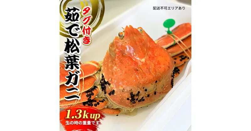 【ふるさと納税】松葉ガニ　茹で　タグ付き　1.3kg up《2024年11月中旬?12月中旬、もしくは、2025年1月中旬以降以降順次発送》 　 海鮮 ブランドガニ タグ付き蟹 幻の蟹 　お届け：11月中旬?12月中旬1月中旬?2月中旬