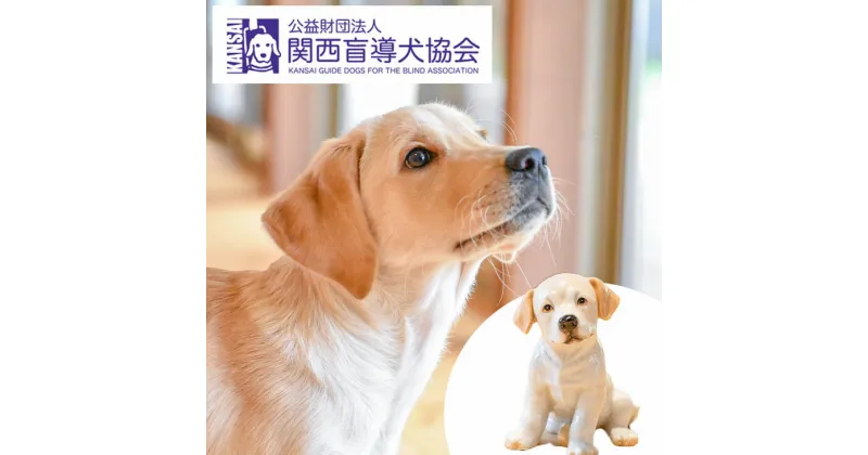 【ふるさと納税】盲導犬 訓練 支援寄附 記念品［陶器のクイール（子犬）※欠品時は代替品の盲導犬のぬいぐるみ・タオル・エコバッグ など盲導犬協会オリジナルグッズ］「行きたい場所に安心していける社会に…」補助犬 (50,000円)