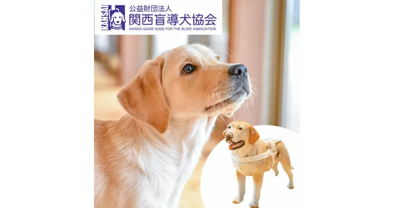 【ふるさと納税】盲導犬 訓練 支援寄附 記念品［クイールの陶器（成犬）・タオル2枚セット・エコバッグ など盲導犬協会オリジナルグッズ］「行きたい場所に安心していける社会に…」補助犬（100,000円）☆月間MVPふるさと納税賞 第1号（2020年10月）・SDGs未来都市亀岡