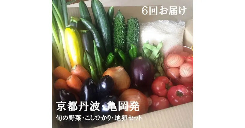 【ふるさと納税】【6回定期便】隔月6回お届け 京都丹波・亀岡発 旬の野菜・こしひかり・地卵 詰め合わせセット≪京野菜 令和6年産 米 定期便 ふるさと納税野菜≫ 先行受付 初回発送月選択 ※北海道、離島、沖縄地域への発送不可 発送時期が選べる 楽天限定