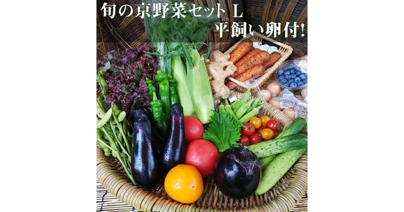 【ふるさと納税】《アスカ有機農園》旬の京野菜セットL(平飼い卵付)≪野菜 やさい 京都 京野菜 たまご 卵 セット 詰め合わせ 無農薬 有機 有機栽培 有機野菜 旬 新鮮 冷蔵 直送 ふるさと納税野菜≫☆月間MVPふるさと納税賞 第1号（2020年10月）・SDGs未来都市亀岡