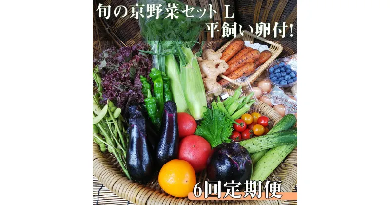 【ふるさと納税】 【6回定期便】＜アスカ有機農園＞旬の京野菜セットL（平飼い卵付）＊毎月お届け全6回≪定期便 定期 野菜 やさい 京都 京野菜 たまご 卵 セット 詰め合わせ ≫無農薬 有機 有機栽培 有機野菜 旬 直送 冷蔵