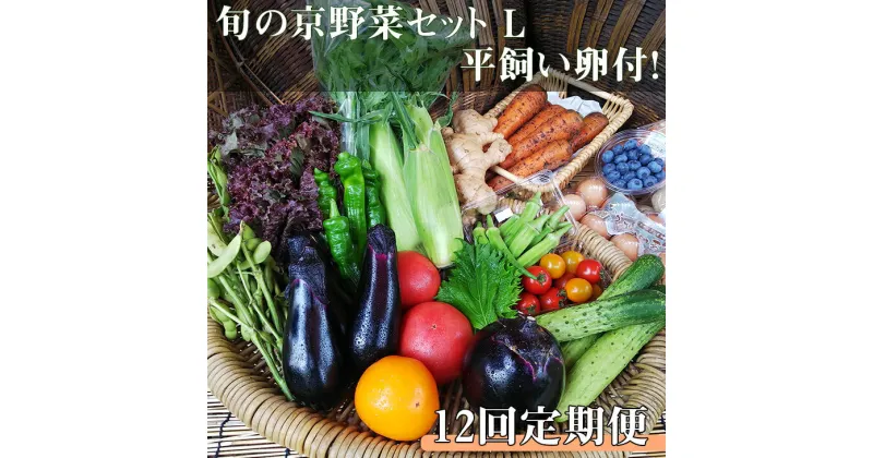 【ふるさと納税】 【12回定期便】＜アスカ有機農園＞旬の京野菜セットL（平飼い卵付）＊毎月お届け全12回≪定期便 定期 野菜 やさい 京都 京野菜 たまご 卵 セット 詰め合わせ 新鮮 ≫無農薬 有機 有機栽培 有機野菜 旬 直送 冷蔵