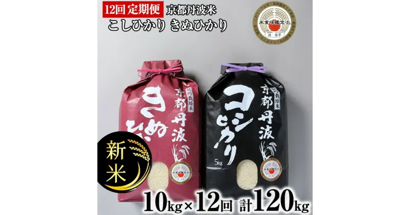 【ふるさと納税】【定期便】令和6年産 新米 訳あり 京都丹波米10kg (こしひかり5kg・きぬひかり5kg) ×12回 計120kg◆12ヶ月 12回定期便 コシヒカリ・キヌヒカリ 各5kg※精米したてをお届け 白米※北海道・沖縄・離島への配送不可※2024年10月上旬以降順次発送予定