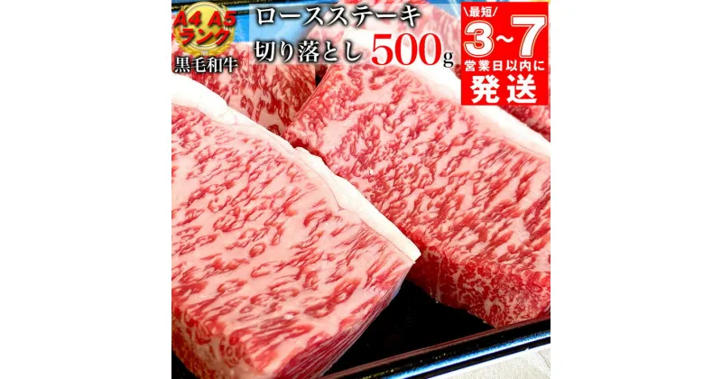 【ふるさと納税】【7営業日以内発送】京の肉 ひら山厳選 京都府産 黒毛和牛 ロース ステーキ 切り落とし 100g×5枚 計500g｜特選 A5・A4ランク 熟成肉 和牛 牛肉 京都肉 国産 丹波産 冷凍 ふるさと納税牛肉 ふるさと納税ステーキ