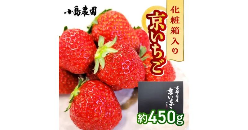 【ふるさと納税】【数量限定】高級 完熟 京いちご 1箱 希少 お楽しみ【紅ほっぺ おいCベリー スターナイト から厳選してお届け】人気 小島農園 減農薬 果実 新鮮 フルーツ 旬 いちご 苺 有名 スイーツ店 御用達 ※2025年1月中旬～5月下旬頃に順次発送予定