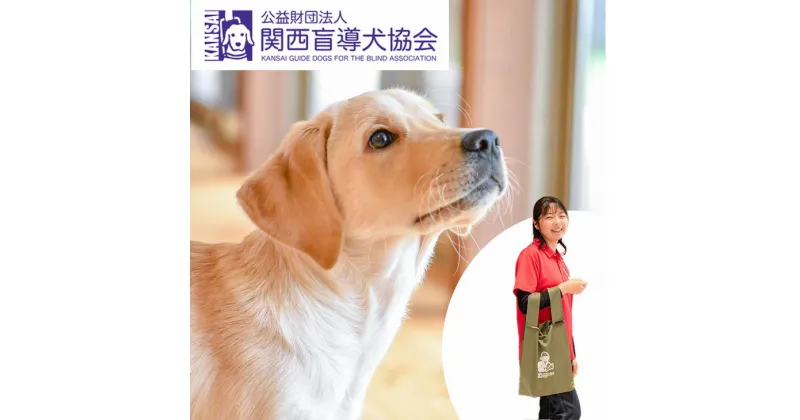 【ふるさと納税】盲導犬 訓練 支援寄附 記念品［タオル・エコバッグ など盲導犬協会オリジナルグッズ］「行きたい場所に安心していける社会に…」補助犬（15,000円）☆月間MVPふるさと納税賞 第1号（2020年10月）・SDGs未来都市亀岡