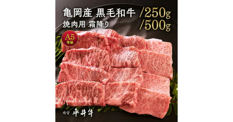 【ふるさと納税】＼選べる内容量／牛肉 最高級黒毛和牛『平井牛』A5 焼肉用 霜降り 250g/500g＜京都丹波牧場＞希少 和牛 京都肉 京都産 亀岡産 冷凍 真空 送料無料