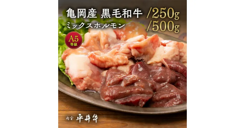 【ふるさと納税】＼選べる内容量／平井牛 ミックスホルモン 250g/500g＜京都丹波牧場＞亀岡産黒毛和牛 自家産 ｜ レバー・ハツ・小腸・大腸・赤セン・センマイ・ギアラ 希少 A5 和牛 国産 ホルモン 冷凍 ふるさと納税 送料無料