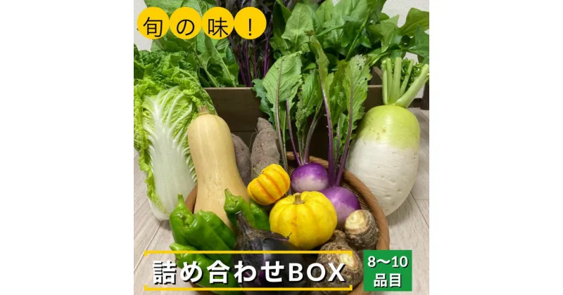 【ふるさと納税】旬の味！お野菜 詰め合わせ BOX 8～10品目（栽培期間中 農薬・化学肥料不使用）【めぐる農園】京都 亀岡 京野菜 農家より直送