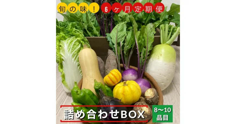 【ふるさと納税】【6回定期便】旬の味！お野菜 詰め合わせBOX 8～10品目×6回（栽培期間中 農薬・化学肥料不使用）【めぐる農園】京都 亀岡 京野菜 農家より直送