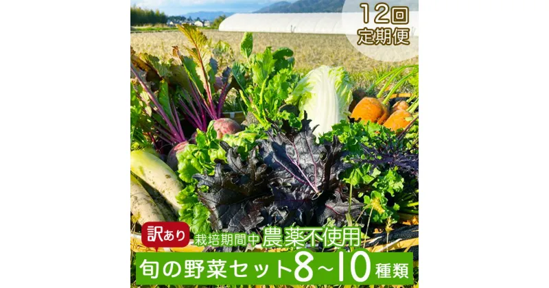 【ふるさと納税】【12回定期便】かたもとオーガニックファームの農業研修生が無農薬・自然栽培で育てたお野菜セット 8～10品目 ｜ 産地直送 朝採れ 新鮮 京野菜 京都府 亀岡産 ☆月間MVPふるさと納税賞 第1号（2020年10月）・SDGs未来都市亀岡