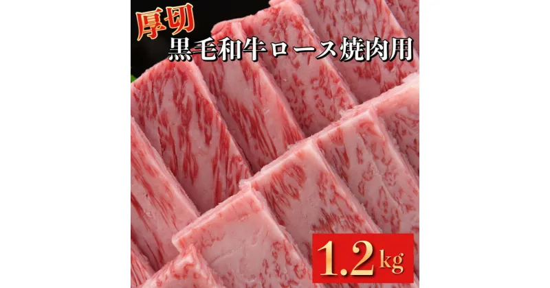 【ふるさと納税】牛ロース 厚切り 焼肉用 京都府産 黒毛和牛 豪華2段重 600g×2 計1.2kg【たれ付】《急速冷凍 真空パック 贈答 プレゼント ギフト》