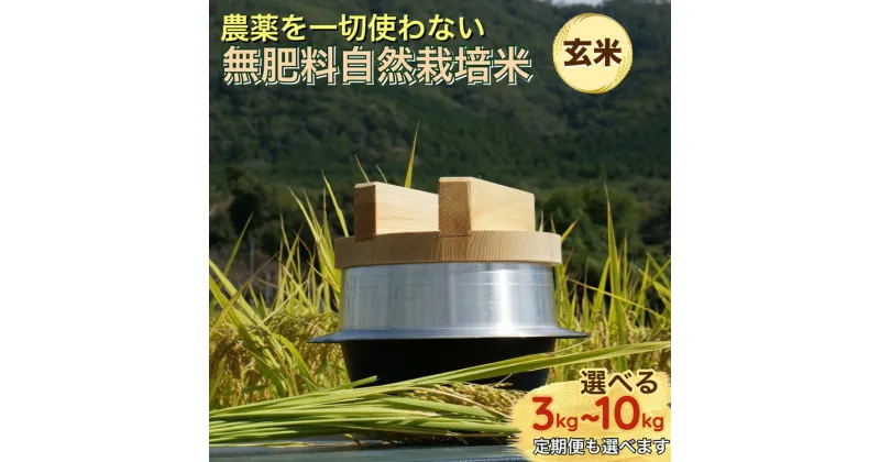 【ふるさと納税】米 令和6年産 自然栽培米 にこまる ＜農薬を一切使わない無肥料栽培＞ 玄米 3kg 5kg 10kg 選べる 1回 6回 12回 6ヶ月 12ヶ月 定期便 《京都丹波産 無農薬米栽培向き 厳選品種》 ※2024年10月中旬頃より順次発送予定