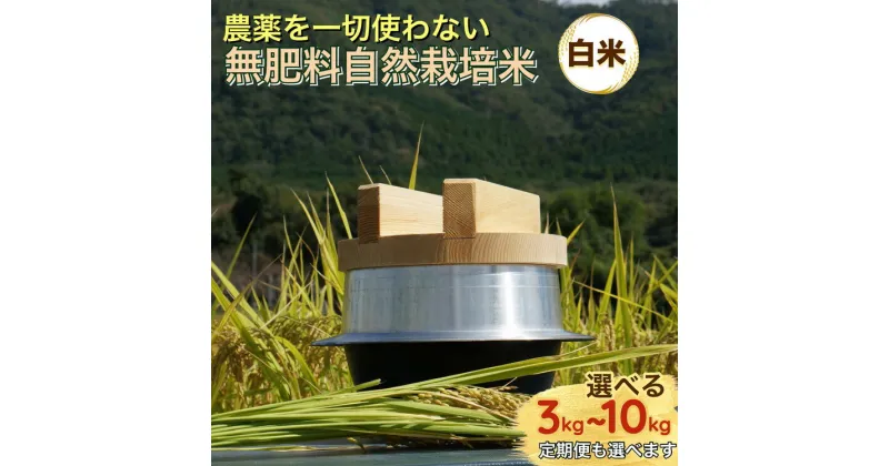 【ふるさと納税】米 令和6年産 自然栽培米 にこまる ＜農薬を一切使わない無肥料栽培＞ 白米 3kg 5kg 10kg 選べる 1回 6回 6ヶ月 定期便 《京都丹波産 無農薬米栽培向き 厳選品種 精米したて》 ※2024年10月中旬頃より順次発送予定