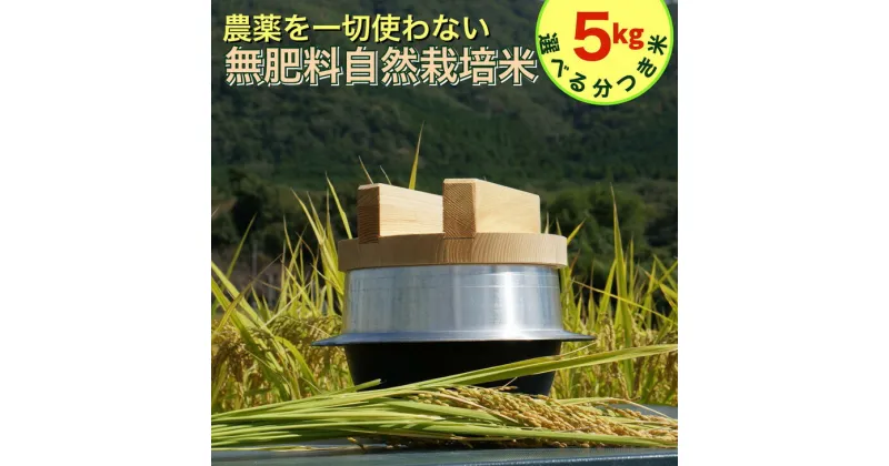 【ふるさと納税】米 令和6年産 自然栽培米 にこまる ＜農薬を一切使わない無肥料栽培＞ 分つき米（五分つき、七分つき、八分つき、胚芽を残した精米）5kg・精米したて 《新米 京都丹波産 無農薬米栽培向き 厳選品種》 ※2024年10月中旬頃より順次発送予定