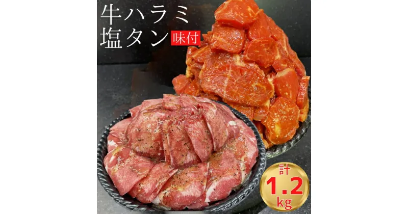 【ふるさと納税】熟成牛 やわらか ハラミ 味付 600g & 牛タン 塩タン 味付 600g 計1.2kg【自家製だれ付】＜お肉のスーパーやまむらや＞※着日指定不可