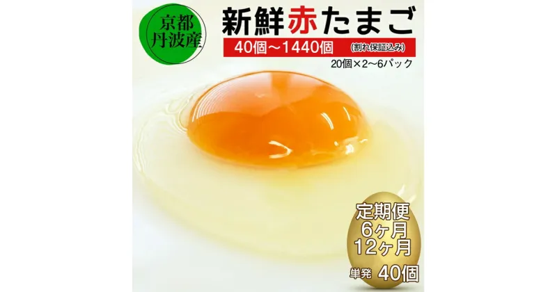 【ふるさと納税】＼選べる内容量・単発・定期便／ 新鮮 卵 京都・丹波の赤たまご 40～120個× 6ヶ月・12ヶ月 割れ保証込み 《生卵 たまご 鶏卵 小分け》 ※北海道・沖縄・離島への配送不可