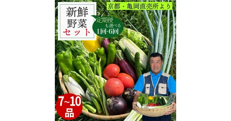 【ふるさと納税】新鮮 旬の野菜セット 7～10品目 1回 6回 定期便 京都 佐伯の里 京都丹波・亀岡産 季節の野菜詰め合わせ 朝採れ 直送 訳あり 家計応援 生活応援 定期便も選べる ※北海道・沖縄・離島への配送不可