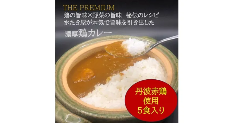 【ふるさと納税】＜水たき 玄海＞THE PUREMIUM 濃厚すぎる 鶏の旨味×野菜の旨味 水たき屋の本気の秘伝レシピ 丹波赤どりカレー【5食入り】《送料無料 冷凍 お取り寄せ お取り寄せグルメ ギフト プレゼント 高級カレー 水炊き》※離島への配送不可