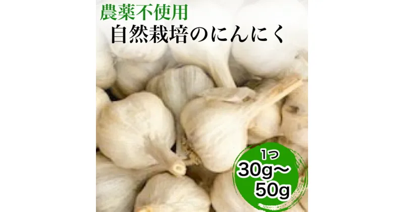 【ふるさと納税】【2025年産 予約】にんにく 1kg・5kg・10kg 京都府・亀岡産 自然栽培のかたもとオーガニックファームよりお届け ※離島への発送不可 ※2025年6月下旬～9月下旬頃に順次発送予定 ☆月間MVPふるさと納税賞 第1号（2020年10月）・SDGs未来都市亀岡