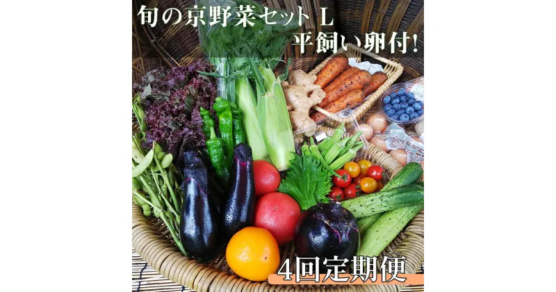 【ふるさと納税】【4回定期便】＜アスカ有機農園＞旬の京野菜セットL（平飼い卵付）＊毎月お届け全4回≪定期便 定期 野菜 やさい 京都 京野菜 たまご 卵 セット 詰め合わせ 無農薬 有機 有機栽培 有機野菜 旬 新鮮 冷蔵 直送 ふるさと納税野菜≫