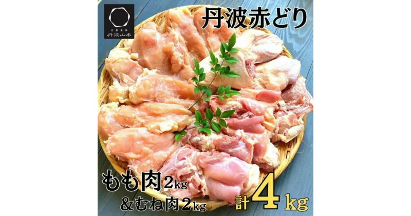 【ふるさと納税】訳あり 丹波赤どり もも肉＆むね肉 計4kg セット(各2kg) 京都亀岡丹波山本＞《鶏 鶏肉 モモ モモ肉 ムネ ムネ肉 業務用 不揃い》