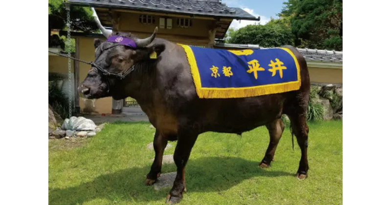 【ふるさと納税】平井牛一頭分 食べつくし 選定 体験 ＜京都丹波牧場＞亀岡産黒毛和牛 自家産≪ 数量限定 牛肉 牛 国産 すき焼き ステーキ しゃぶしゃぶ≫☆月間MVPふるさと納税賞 第1号（2020年10月）亀岡市※離島への配送不可